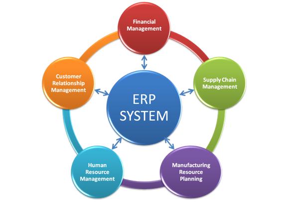 Customized ERP Solutions