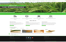 npoverseas.com website developed by CustApp Solutions