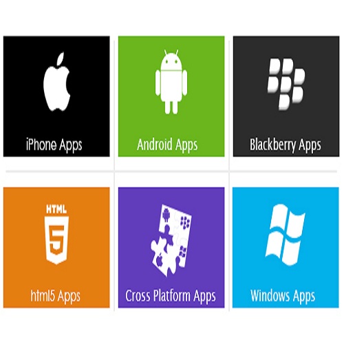 Customized Mobile Application Development